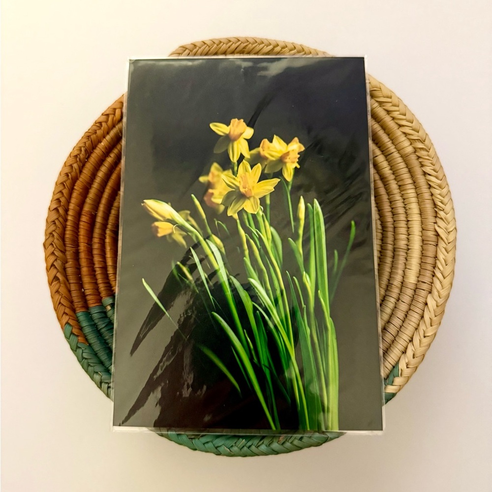 🖤🌾 4x6 Yellow Daffodil Print